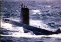 W_VENUS8.jpg